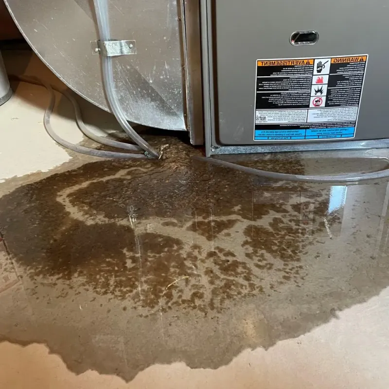 Pipe Burst and Leak Restoration in Lathrup Village, MI